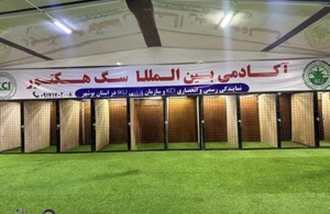 اکادمی سگ هکتور