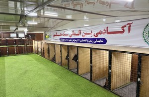 اکادمی سگ هکتور