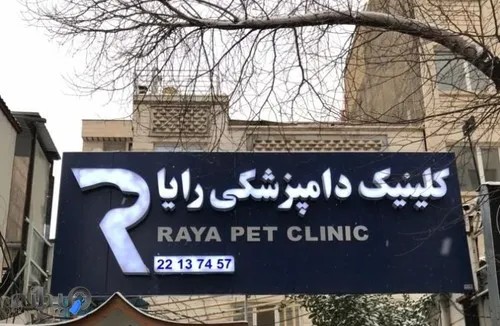 کلینیک دامپزشکی و پت شاپ رایا