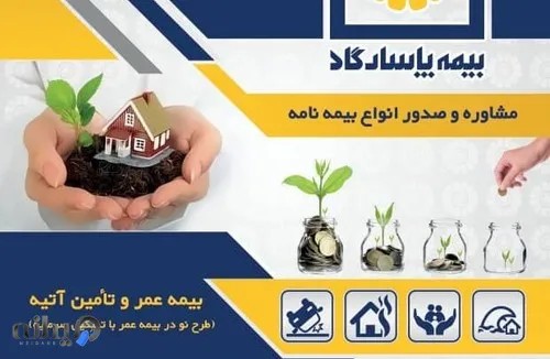 نمایندگی فرشته قربانی 