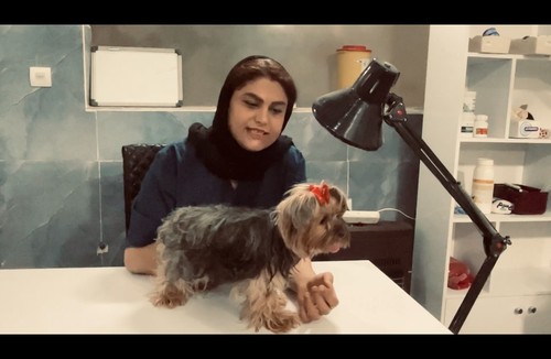 کلینیک دامپزشکی هما