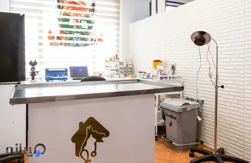 کلینیک دامپزشکی رکس