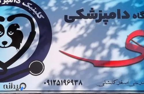 کلینیک دامپزشکی دی