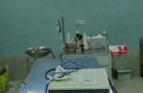 کلینیک دامپزشکی دی