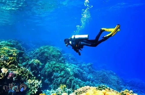 آژانس گردشگری شجاع پرواز کیش