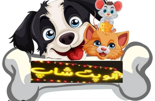 شهر حیوانات 