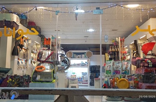 شهر حیوانات 