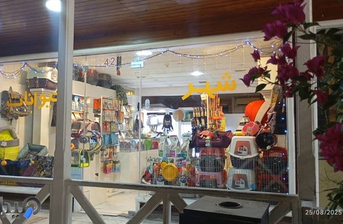 شهر حیوانات 