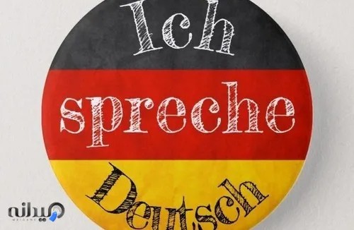 محسن گودرزی