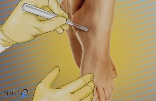 طب سنتی پایا(دکتر مرجان ساعتی)