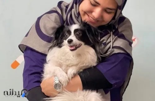 کلینیک دامپزشکی فراپت