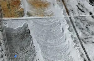 قالیشویی گل ابریشم