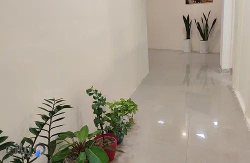 کانون زبان آرمان گرایان کیش 