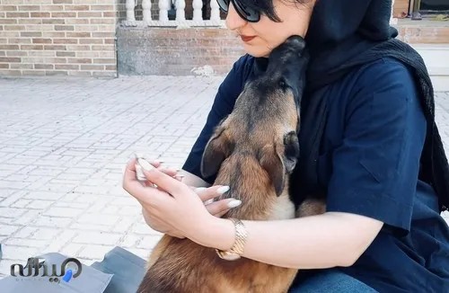 کلینیک دامپزشکی دکتر رومیانی