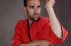 باشگاه رزمی آریا