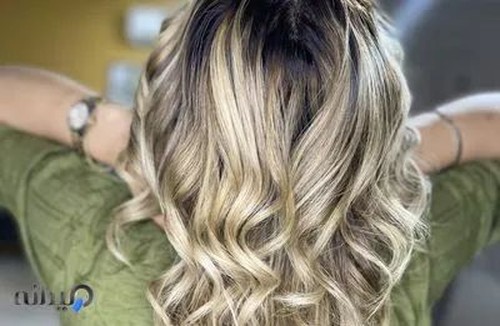 سالن‌نگین مجاور