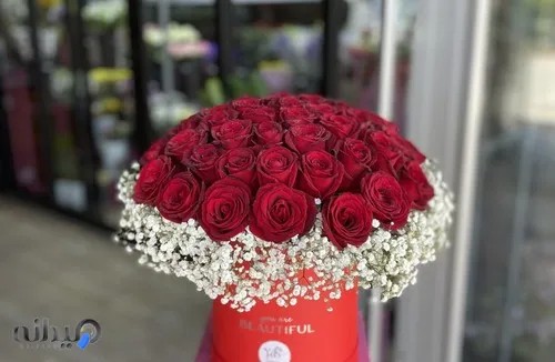 گلفروشی گل یاس