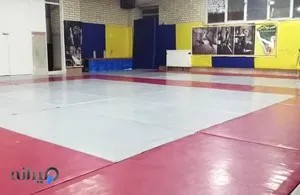 جودو برای تندرستی (صادقیه)