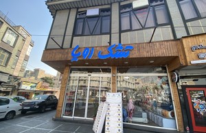 نمایندگی تشک رویا