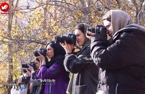 موسسه پویانمایی ضحی 