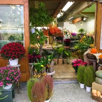 بهترین گل فروشی های تهران