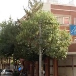 دفتر اسناد رسمی 249 اصفهان