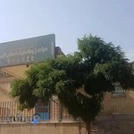 خانه ژیمناستیک ملاصدرا هیات ژیمناستیک استان البرز