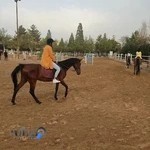 Ferdowsi Equestrian Club