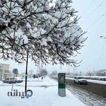 دانشگاه فنی وحرفه ای زنجان مرکز پسران الغدیر