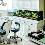 مطب دندانپزشکی زیبایی دکتر آزاده مهرداد