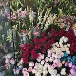گل فروشی سیلن گل