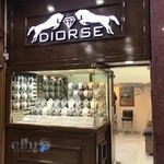 DIORSE Gallery