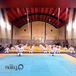 باشگاه دفاع شخصی کاراته