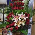 Golsaraye sheida گل شیدا