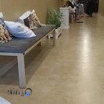 Persian Pet Clinic کلینیک حیوانات پرشین