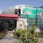 تولیدی گل و گیاه و نهال شیرکوه، برادران پور میرزا شیرکوهی