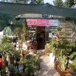 نمایشگاه و فروشگاه گل و گیاه تراریوم