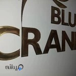 Blue Crane موسسه مهاجرتی درنای آبی