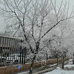 دبیرستان امیرکبیر
