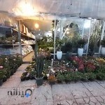 بازار گل شهرداری منطقه دو