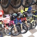 فروشگاه دوچرخه ویوا