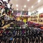 فروشگاه دوچرخه تک دوچرخ