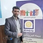 بیمه آتیه و زندگی عمر پاسارگاد مجتبی میثمی