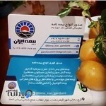 بیمه ایران نمایندگی گندمی