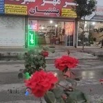 تابلو و مهر سازی پشتیبان