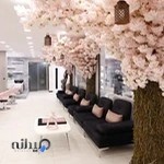 سالن زیبایی سپیدار / Sepidar beauty salon