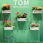 آموزشگاه موسیقی طم