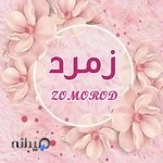 فروشگاه لوازم آرایشی و بهداشتی زمرد