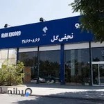 ایران خودرو نجفی گل
