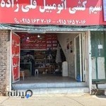 سیم کشی اتومبیل قلی زاده